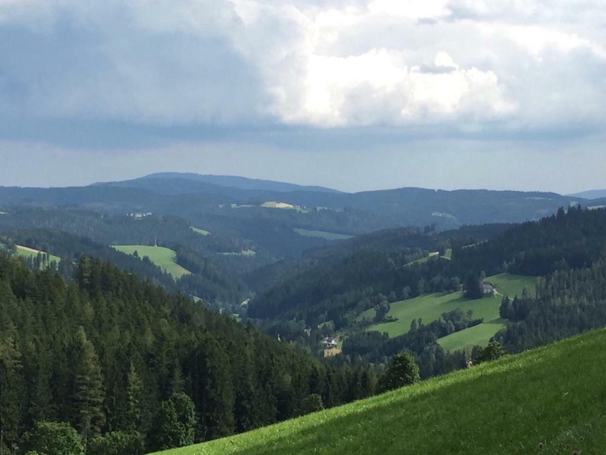 Glueckliche Elfen Sankt Kathrein am Hauenstein Exterior foto